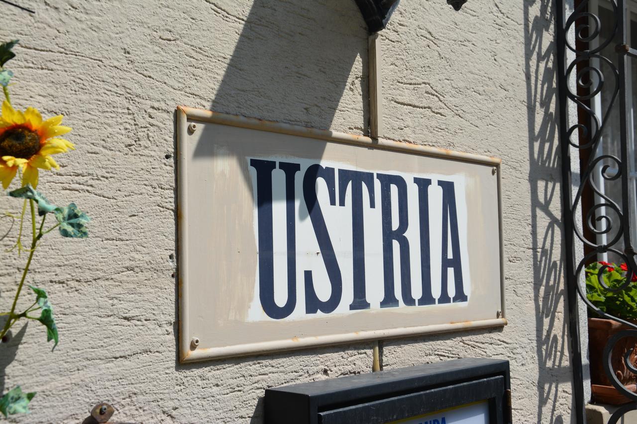 Ustria Crusch Alva Bed & Breakfast Tavanasa Eksteriør bilde